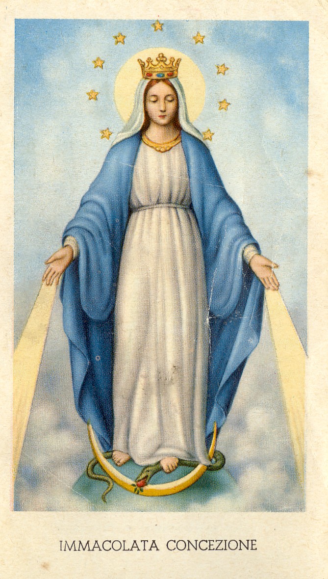 immacolata%20concezione.jpg